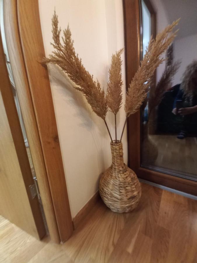 Zlatibor Apartman Luxury & Spa Dijana エクステリア 写真