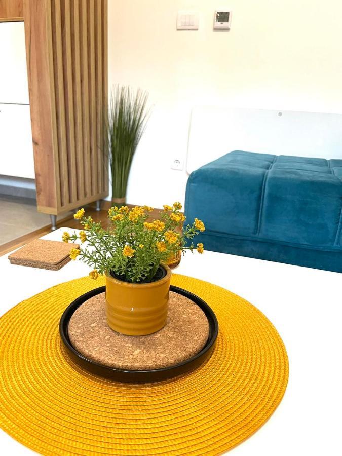 Zlatibor Apartman Luxury & Spa Dijana エクステリア 写真