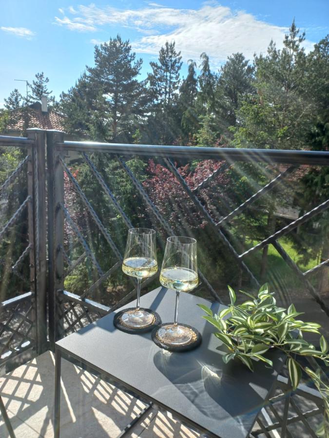 Zlatibor Apartman Luxury & Spa Dijana エクステリア 写真