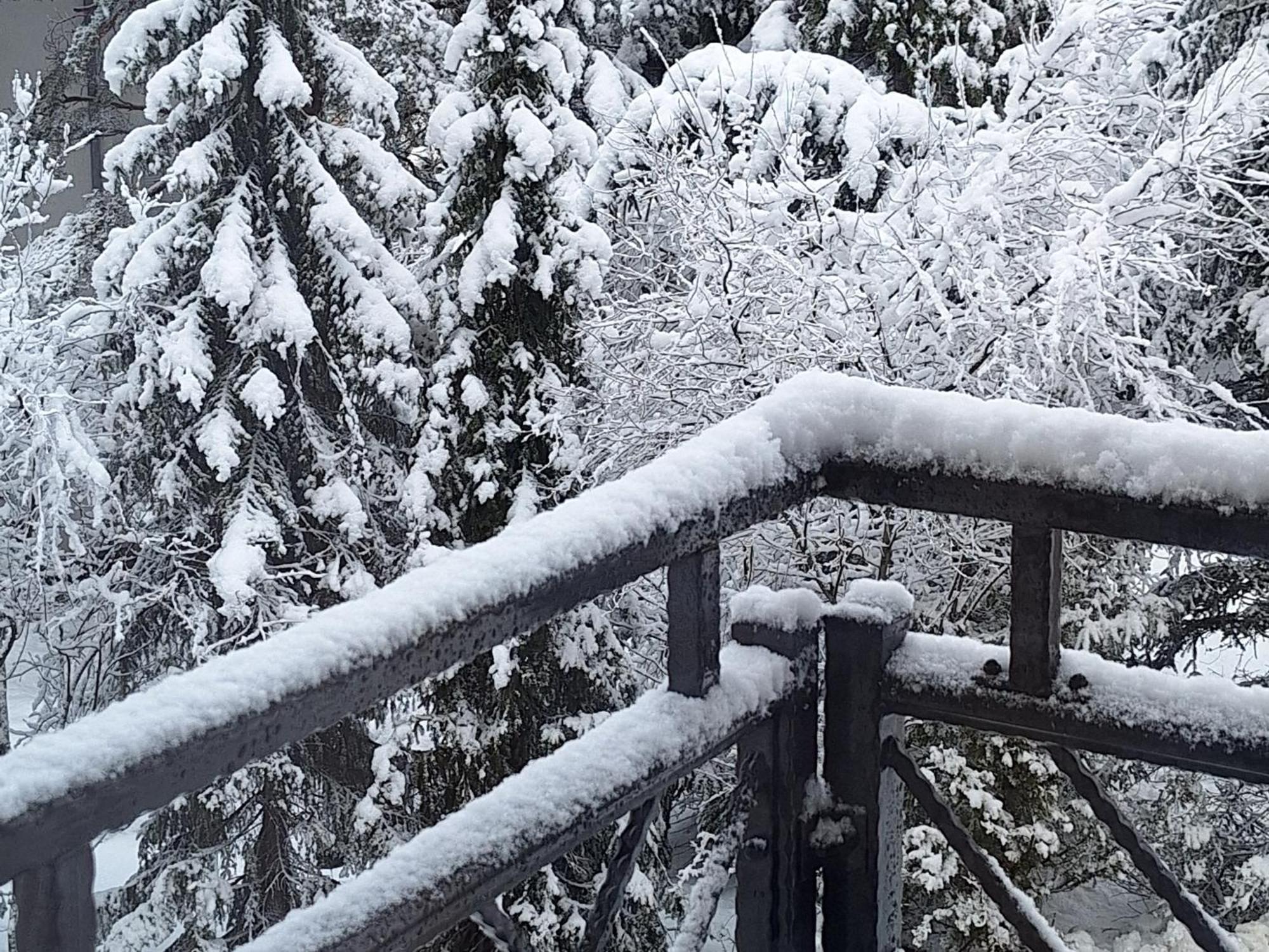 Zlatibor Apartman Luxury & Spa Dijana エクステリア 写真